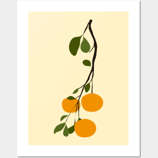 Branch of citrus Posters and Art